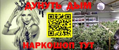 молекула духа Будённовск
