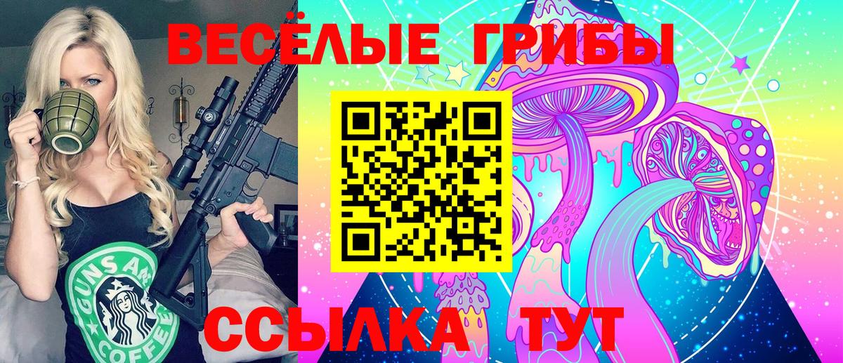 Псилоцибиновые грибы Psilocybe  дарнет шоп  Вход с VPN  Нижний Новгород  Галлюциногенные грибы прущие грибы 