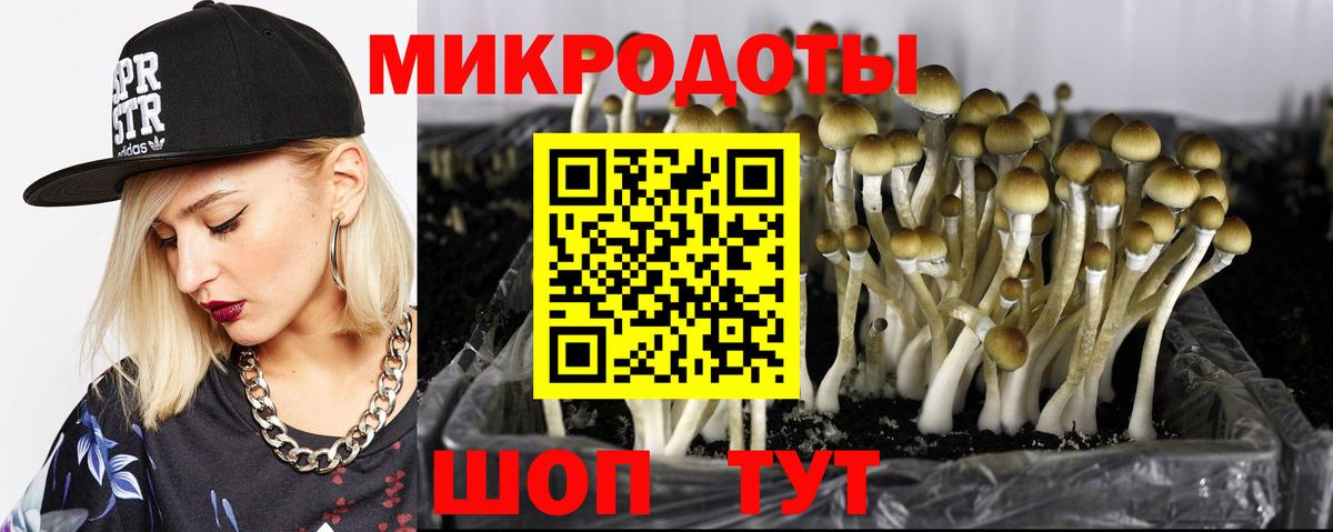 Галлюциногенные грибы прущие грибы Нижний Новгород