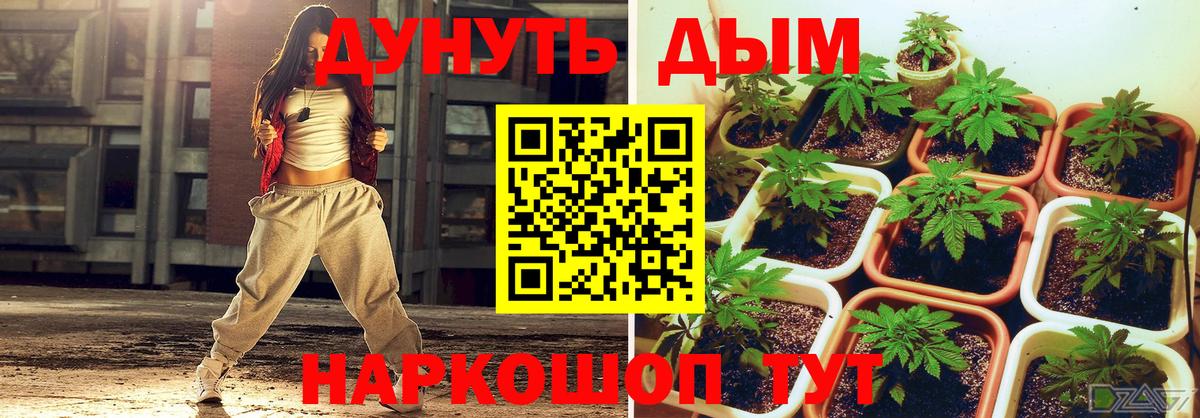 Бошки Шишки  Нижний Новгород  КОКАИН  Вход с VPN  МДМА  Гашиш  МЕФ   Гашиш 