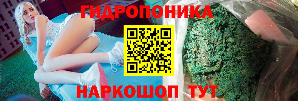 ГАШИШ Нижний Новгород